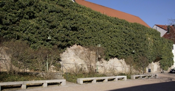 Stadtmauer